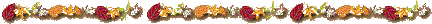 divider
